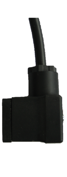 P6006